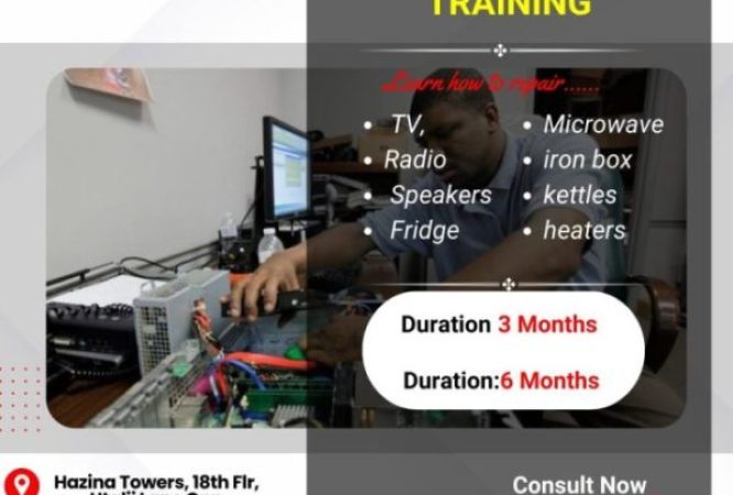 Inceptor electronics training